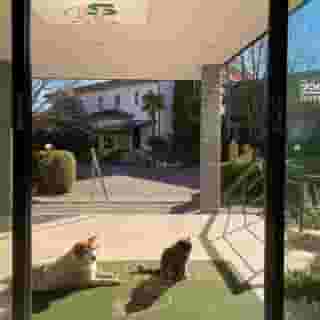 Hotel Santacroce, 5 of 5
