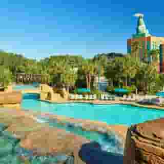 Walt Disney World Dolphin Resort, 2 of 5