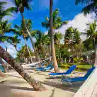 Coco de Mer & Black Parrot Suites, 3 of 5