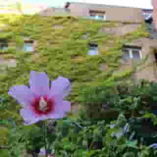 Hotel d'Orsay, 2 of 5