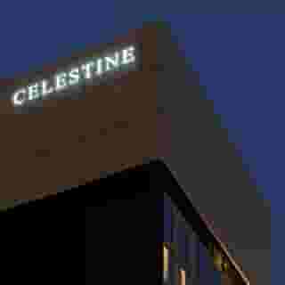 HOTEL THE CELESTINE GINZA, 4 of 5