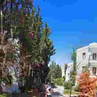 Club la Luna, 4 of 5