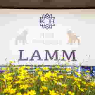 Hotel Lamm, 1 of 5