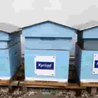 Kyriad Marseille Palais Des Congres - Velodrome, 4 of 5