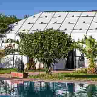 Las Palmeras, 5 of 5