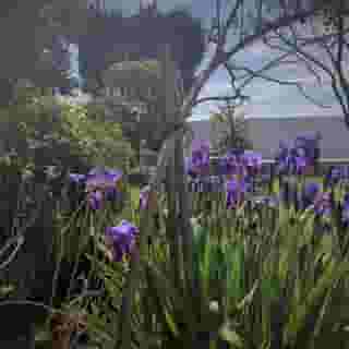 Aux Belles Vacances B B Only Adults, 4 of 5