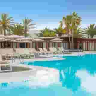 Relaxia Olivina, 4 of 5