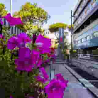 BV Oly Hotel, 2 of 5