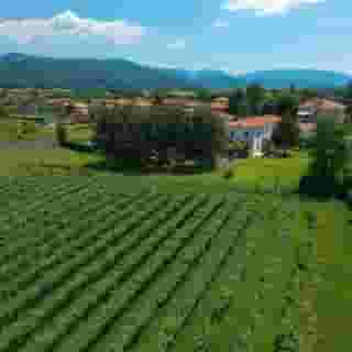 Villa Franca In Franciacorta, 1 of 5