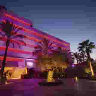 El Hotel Pacha, 2 of 5