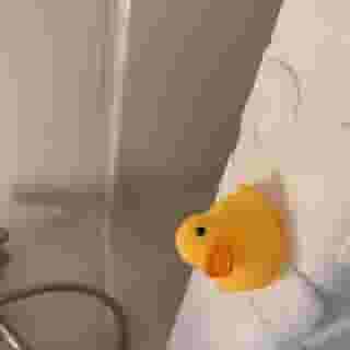 Ueno Urban Hotel, 2 of 5