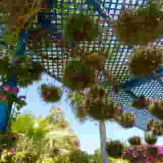 Villa Mandarine, 5 of 5