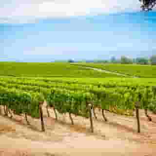 Strand Tower, 5 of 5