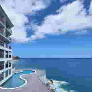 Royal Orchid, 3 of 5