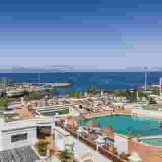 Flamingo Beach Mate, 1 of 5