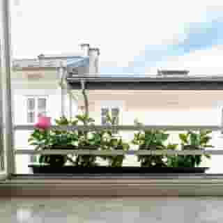 Trumer Stube, 5 of 5