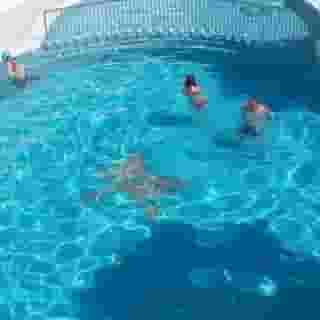 Parque Cattleya, 4 of 5