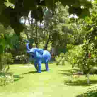 Villa Mandarine, 3 of 5