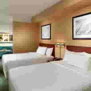 Springhill Suites By Marriott Atlanta Buckhead, 4 of 5