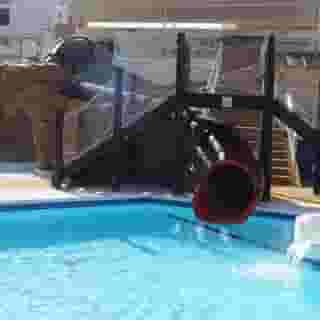 Alegria Fenix Family, 5 of 5