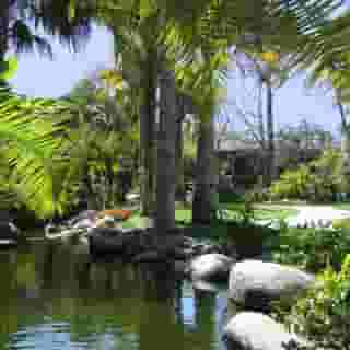 Catamaran Resort, 6 of 6