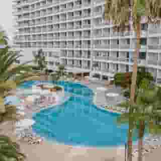 ONA Palm Beach , 3 of 5