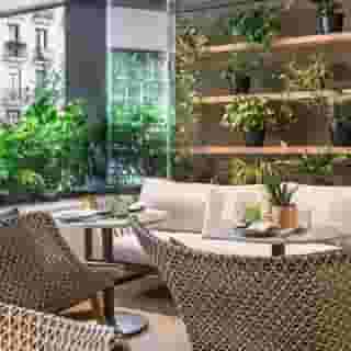 Melia Madrid Serrano, 4 of 5