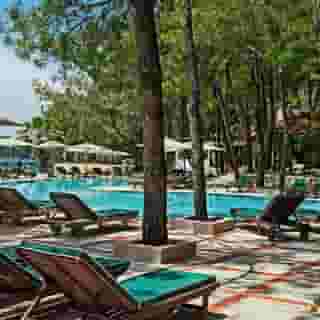 Marti Hemithea, 4 of 5