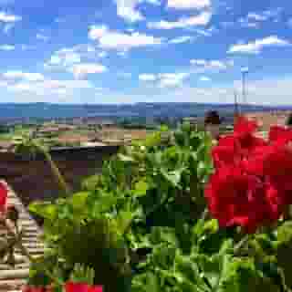 Palazzo Bocci, 3 of 5