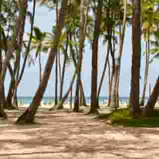 Vista Sol Punta Cana Beach Resort, 5 of 5