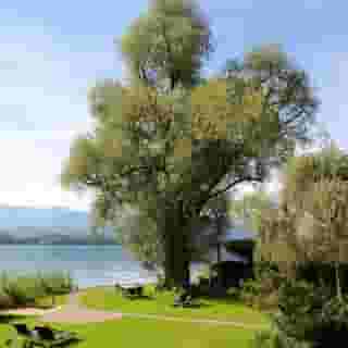 Schloss-Hotel Swiss-Chalet Merlischachen, 6 of 6