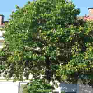 Hotel Westend, 3 of 5