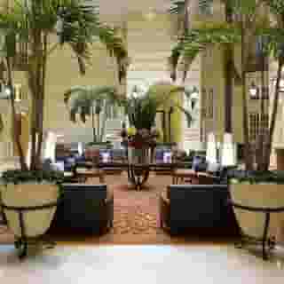 Polonia Palace, 3 of 5