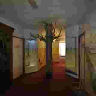 Hotel De Plataan Delft Centrum, 6 of 6