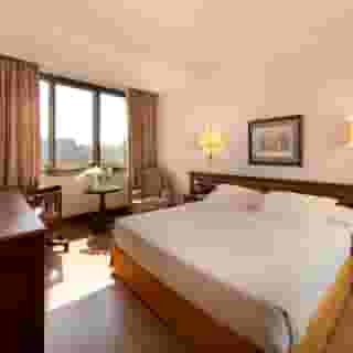 Miguel Angel, 5 of 5