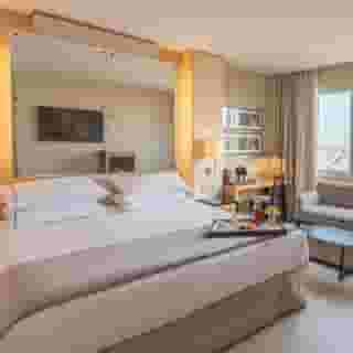 Hesperia Presidente, 5 of 5