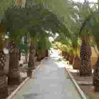 Hotel Playa Blanca, 4 of 5