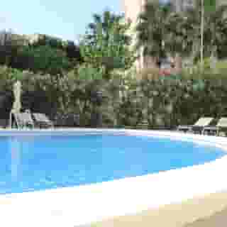 Flamingo Beach Resort - Adults Recommended, 5 of 5