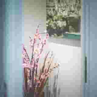 Domus Alberti, 4 of 5