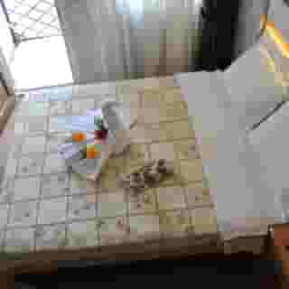 Starpark Hotel, 1 of 5