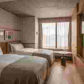 Wren Urban Nest, 2 of 5