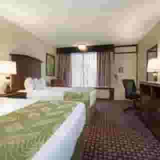 Rosen Inn At Pointe Orlando, 3 of 5