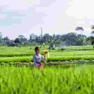 Kubu Bali Baik Villa & Resort, 5 of 5