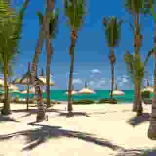 Lagoon Attitude - Adults Only, 2 of 5