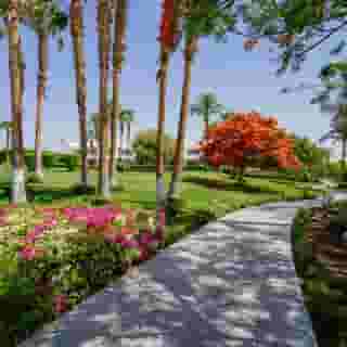 Monte Carlo Sharm El Sheikh, 4 of 5