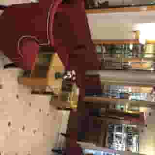 Hotel Royal Elysees, 3 of 5