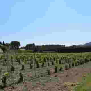 Residences de Metifiot, 3 of 5