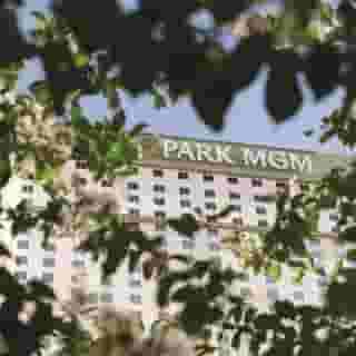 Park Mgm Las Vegas, 2 of 5