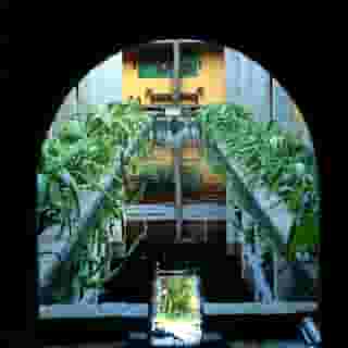 Grand Udawalawe Safari Resort, 3 of 5