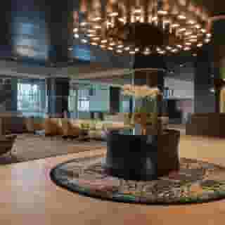 Sable at Navy Pier Chicago Curio Collection Hilton, 2 of 5